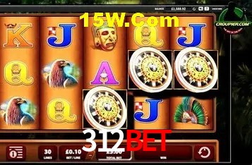 Security Systems 312Bet